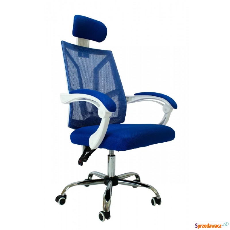 Biało-niebieski fotel biurowy - Roiso - Krzesła biurowe - Legnica