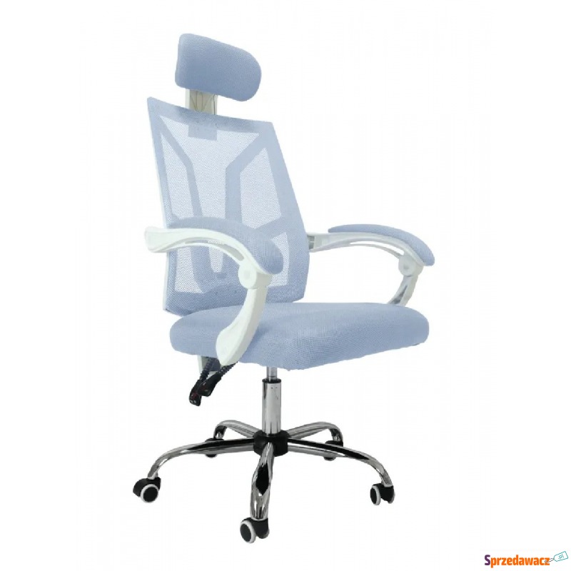 Biało-szare krzesło biurowe - Roiso - Krzesła biurowe - Tarnowskie Góry