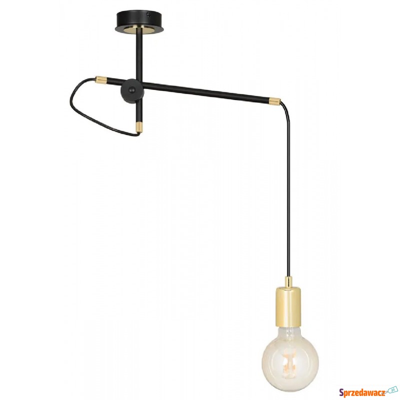 Czarna loftowa lampa wisząca - D094-Dopio - Lampy wiszące, żyrandole - Sosnowiec