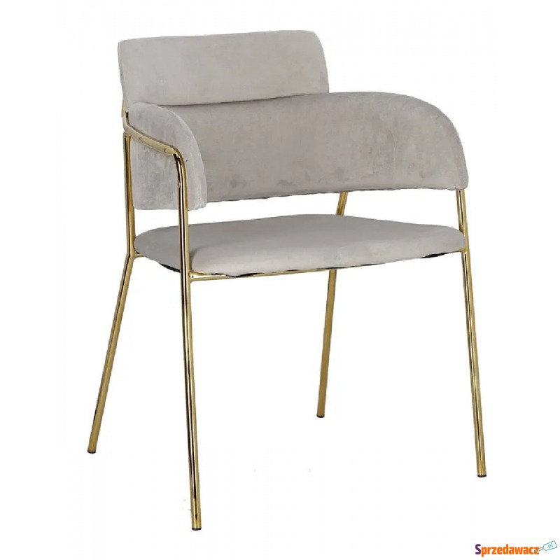 Welwetowe krzesło szare - Meraje - Krzesła do salonu i jadalni - Nysa