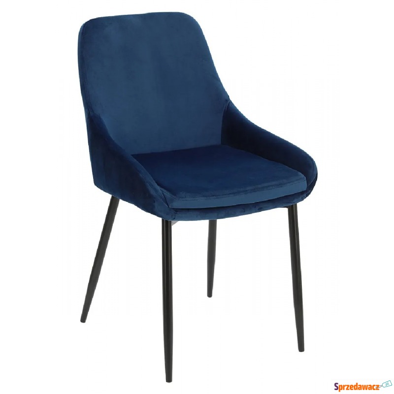 Niebieskie krzesło welurowe - Anaki - Krzesła do salonu i jadalni - Rzeszów