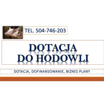 Dotacje do hodowli , tel. 504-746-203. dofina... - Pozostałe usługi - Wrocław - zdjęcie 3