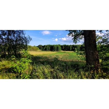 Działka Rolna (3000 m2) Słupice - Działki na sprzedaż - Słupice - zdjęcie 2