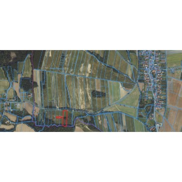 Działka Rolna (3000 m2) Słupice - Działki na sprzedaż - Słupice - zdjęcie 4