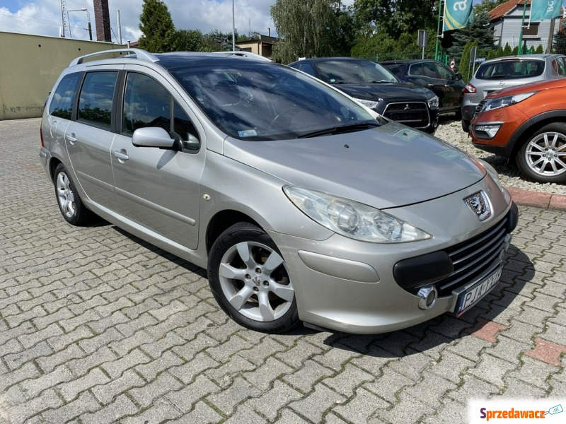 Peugeot 307 2008,  1.6 diesel - Na sprzedaż za 7 999,00 zł - Gostyń