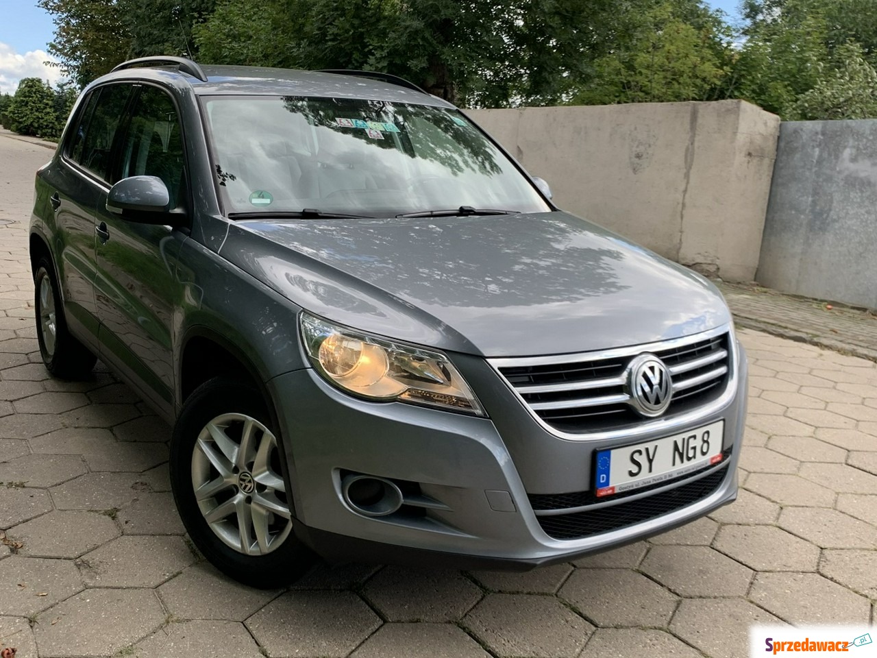 Volkswagen Tiguan 2010