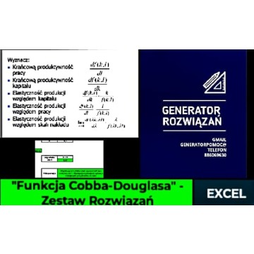 "Funkcja Cobba-Douglasa" - Rozwiązanie po zadania Excel. poziom - Studia