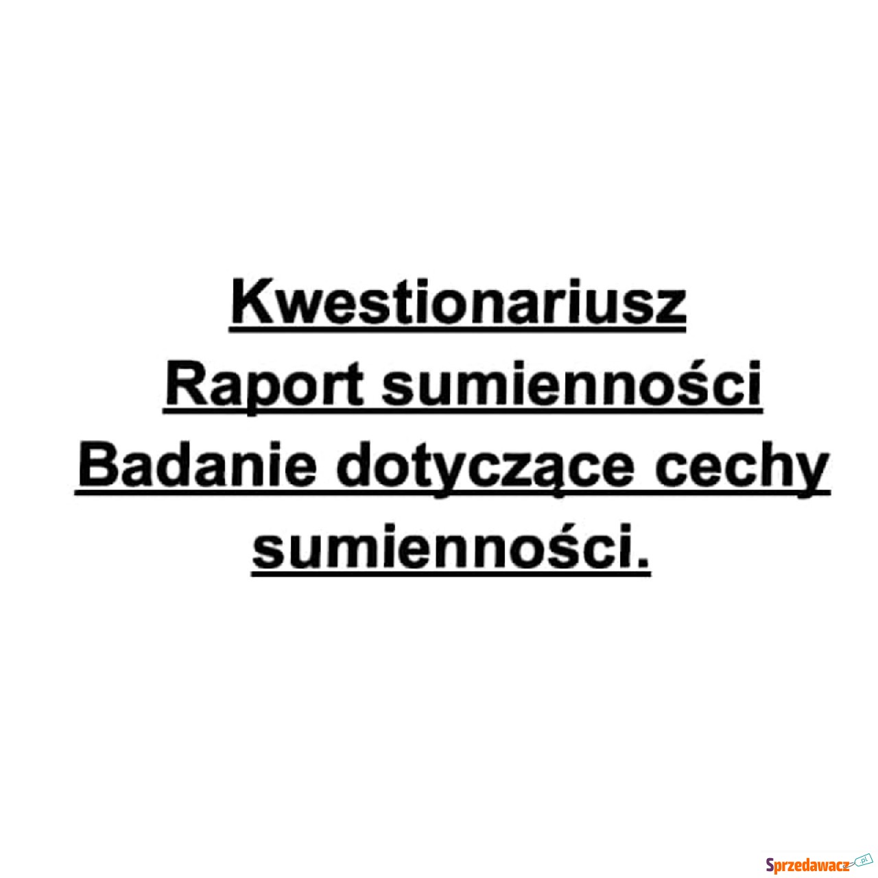"Kwestionariusz  Raport s...