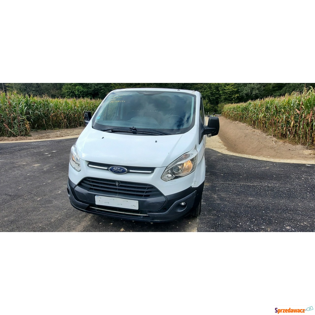 Ford 2018