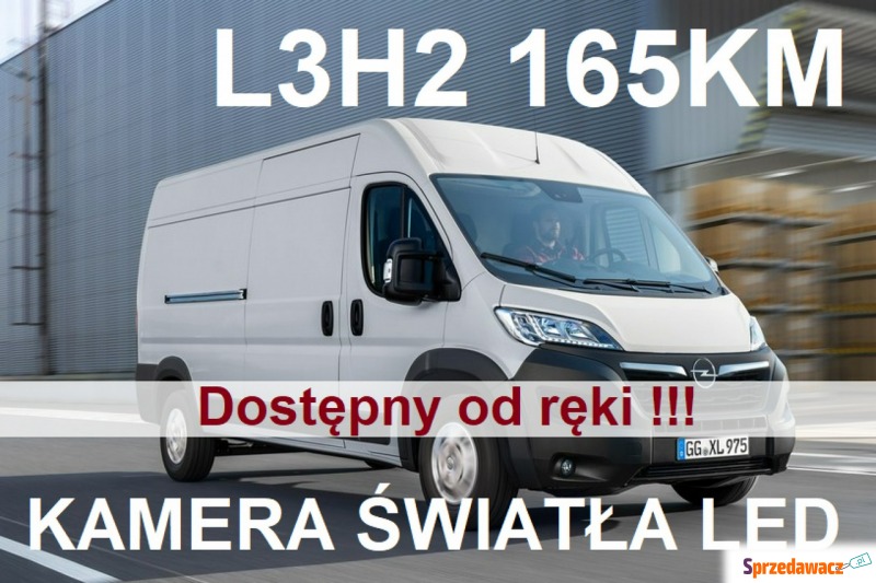 Opel Movano 2022,  2.2 diesel - Na sprzedaż za 174 537 zł - Szczecinek