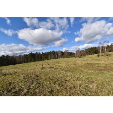 Działka budowlana Słupsk sprzedam, pow. 3011 m2  (30.1a), uzbrojona - zdjęcie 4