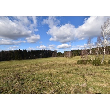 Działka budowlana Słupsk sprzedam, pow. 3011 m2  (30.1a), uzbrojona - zdjęcie 3