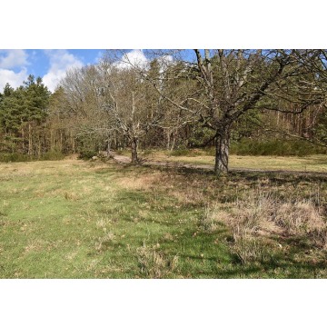 Działka budowlana Słupsk sprzedam, pow. 3011 m2  (30.1a), uzbrojona - zdjęcie 6