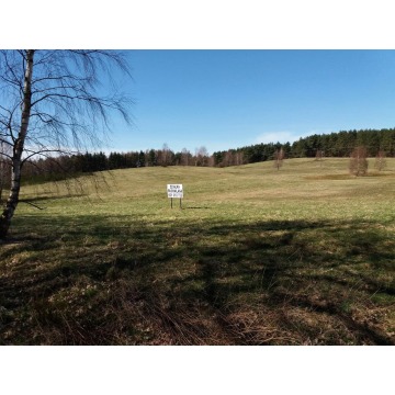 Działka budowlana Słupsk sprzedam, pow. 3011 m2  (30.1a), uzbrojona - zdjęcie 8
