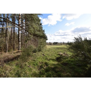 Działka budowlana Słupsk sprzedam, pow. 3011 m2  (30.1a), uzbrojona - zdjęcie 2