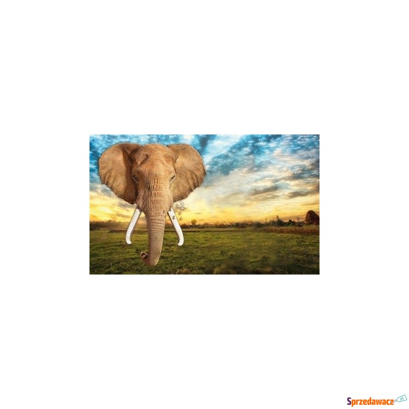 Puzzle I AM ELEFANT - Słoń