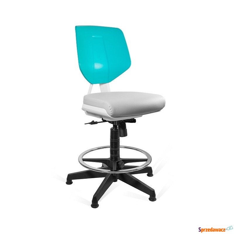 krzesło lekarskie z podnóżkiem kaden grey/green - Krzesła biurowe - Szczecin