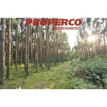 Działka Mościska sprzedam, pow. 35 000 m2  (3.5ha), uzbrojona - zdjęcie 4