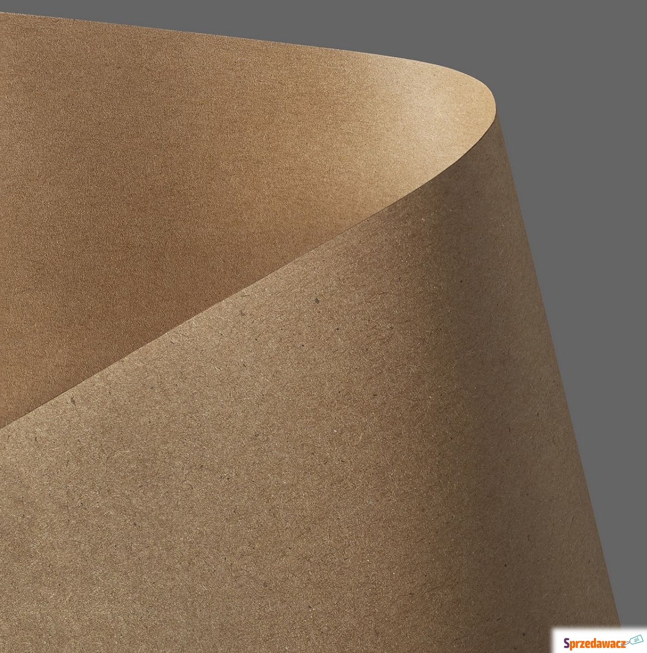 Papier wizytówkowy A4 230 A20...
