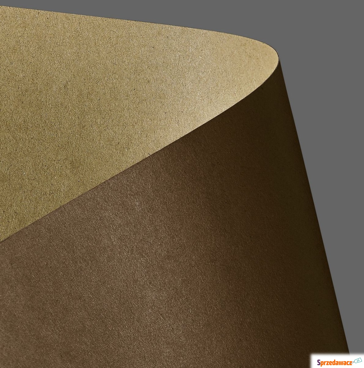 Papier wizytówkowy A4 275 A20...
