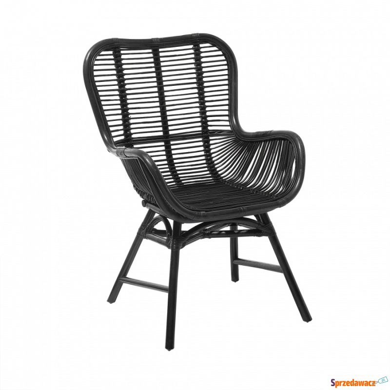 Krzesło rattanowe czarne Binentino BLmeble - Fotele, sofy ogrodowe - Nowy Sącz