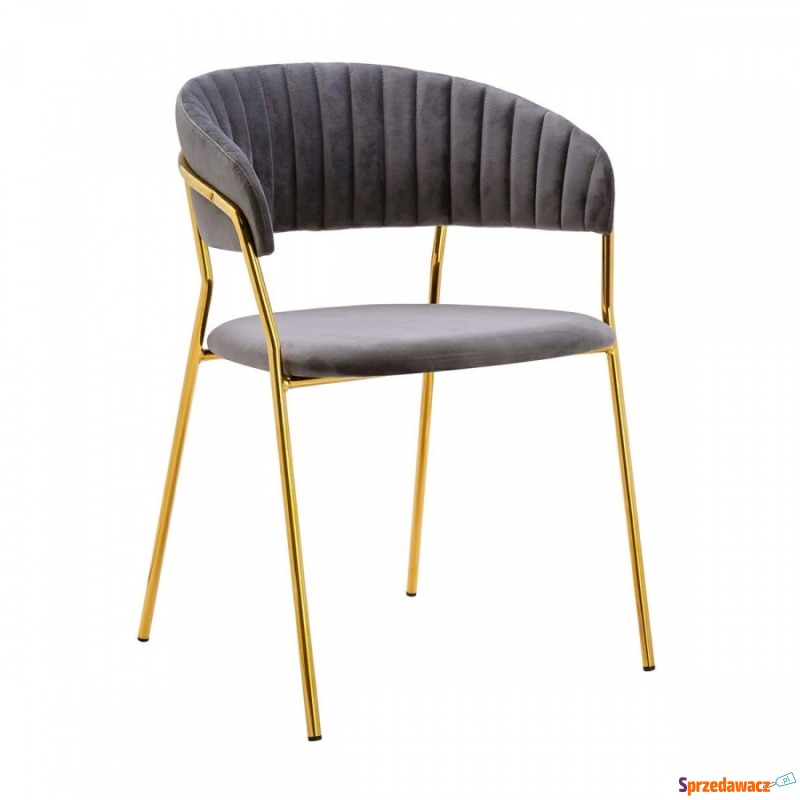 Krzesło MARGO ciemny szary - welur, podstawa złota - Krzesła do salonu i jadalni - Grudziądz