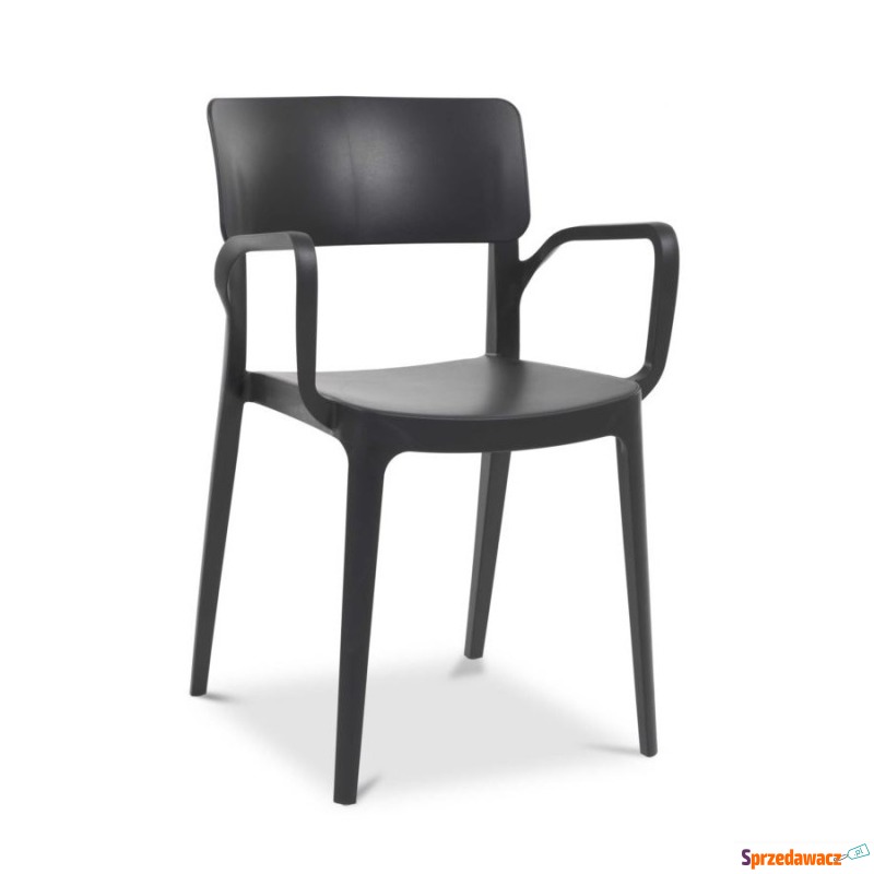 Novussi Krzesło PANORA armchair : Kolor - antracyt - Krzesła ogrodowe - Legnica