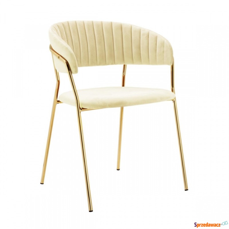 Krzesło MARGO beżowe - welur, podstawa złota - Krzesła do salonu i jadalni - Słupsk