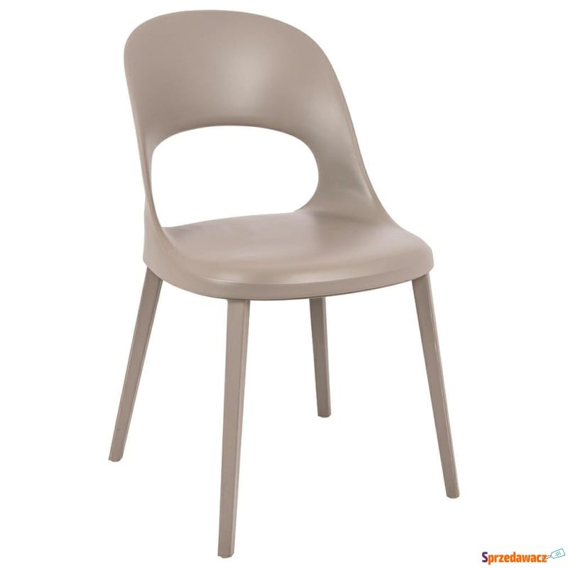 Krzesło Buko szare - Krzesła kuchenne - Ostrołęka