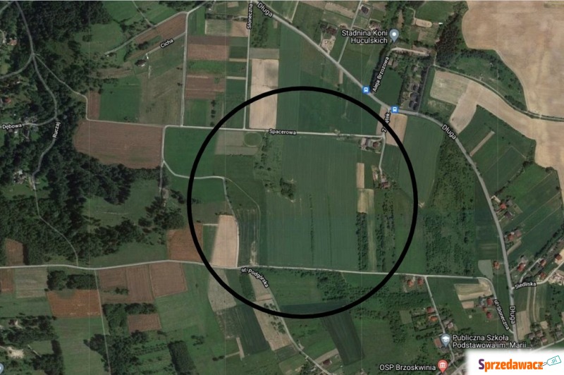 działka rolna 4,28 ha w pobliżu Krakowa - Działki na sprzedaż - Nielepice