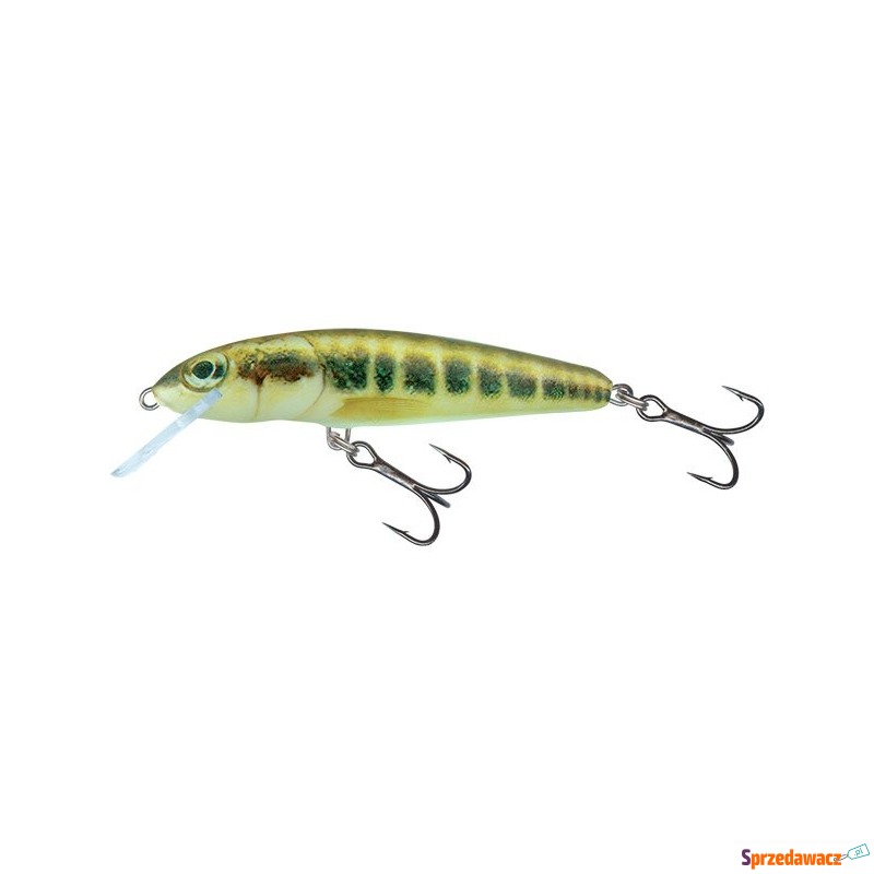 salmo minnow snk 5cm minnow - Zanęty i przynęty - Świecie