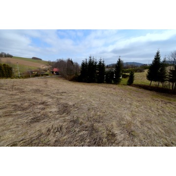 Działka budowlana Stępina sprzedam, pow. 2700 m2  (27a), uzbrojona - zdjęcie 2