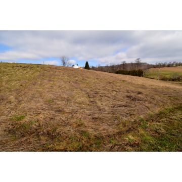 Działka budowlana Stępina sprzedam, pow. 2700 m2  (27a), uzbrojona - zdjęcie 4
