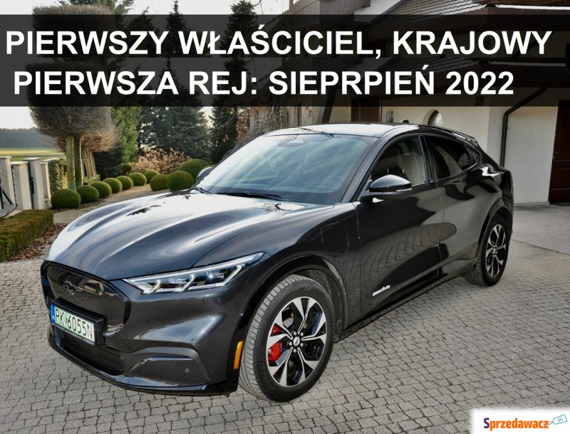 Ford Mustang  SUV 2022,  0.0 zasilanie elektryczne - Na sprzedaż za 247 000 zł - Szczecinek