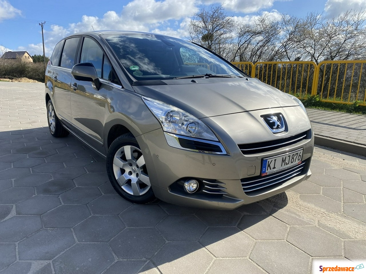 Peugeot 5008 2013