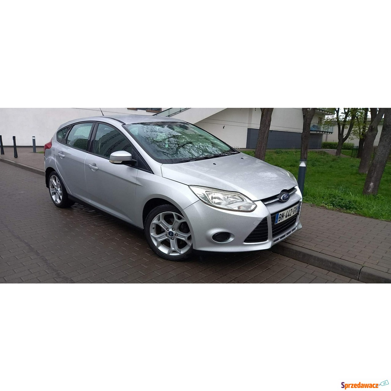 Ford Focus - 2011