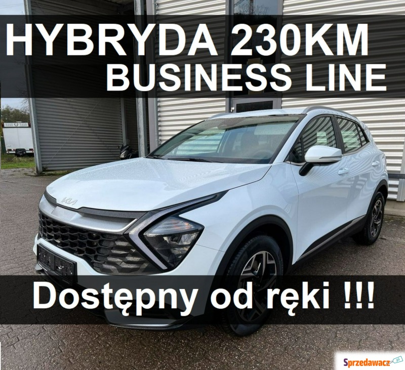 Kia Sportage  SUV 2023,  1.6 hybryda - Na sprzedaż za 170 004 zł - Szczecinek