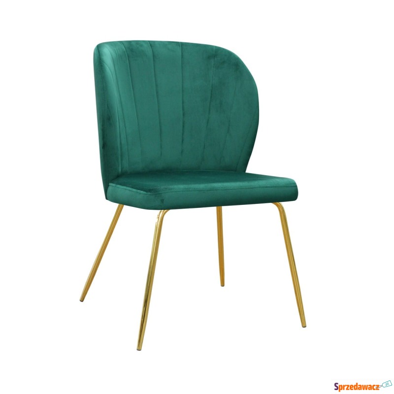 Krzesło Risa Ideal - Różne Kolory 51x56x87cm - Krzesła kuchenne - Długołęka