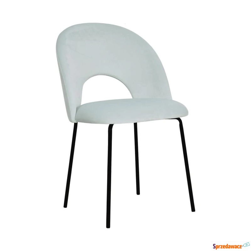 Krzesło Anes Czarne Nogi - Różne Kolory 47x57x81cm - Krzesła kuchenne - Gdynia