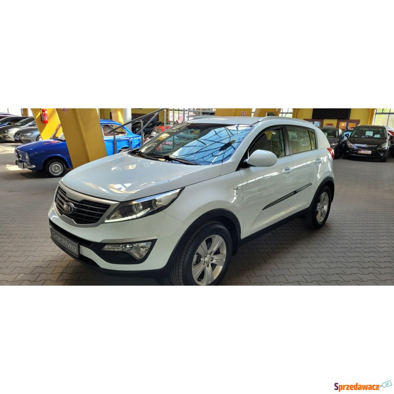 Kia Sportage  SUV 2013,  1.6 benzyna - Na sprzedaż za 52 900 zł - Mysłowice