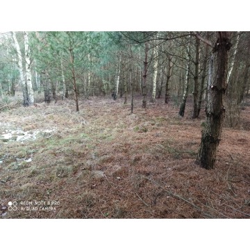 Działka rolna Bocheniec sprzedam, pow. 2455 m2  (24.6a) - zdjęcie 2