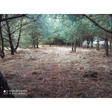 Działka rolna Bocheniec sprzedam, pow. 2455 m2  (24.6a) - zdjęcie 3