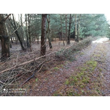 Działka rolna Bocheniec sprzedam, pow. 2455 m2  (24.6a) - zdjęcie 4