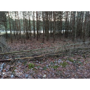 Działka rolna Bocheniec sprzedam, pow. 2455 m2  (24.6a) - zdjęcie 5