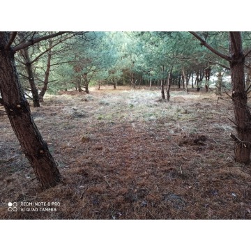 Działka rolna Bocheniec sprzedam, pow. 2455 m2  (24.6a) - zdjęcie 6