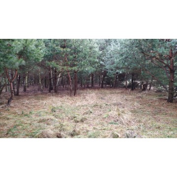 Działka rolna Bocheniec sprzedam, pow. 2455 m2  (24.6a) - zdjęcie 8