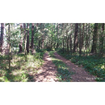 Działka rolna Bocheniec sprzedam, pow. 2455 m2  (24.6a) - zdjęcie 10