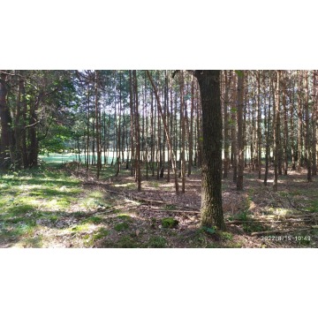 Działka rolna Bocheniec sprzedam, pow. 2455 m2  (24.6a) - zdjęcie 11