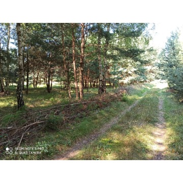 Działka rolna Bocheniec sprzedam, pow. 2455 m2  (24.6a) - zdjęcie 12