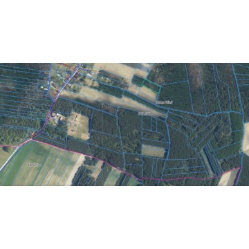 Działka rolna Bocheniec sprzedam, pow. 2455 m2  (24.6a) - zdjęcie 14